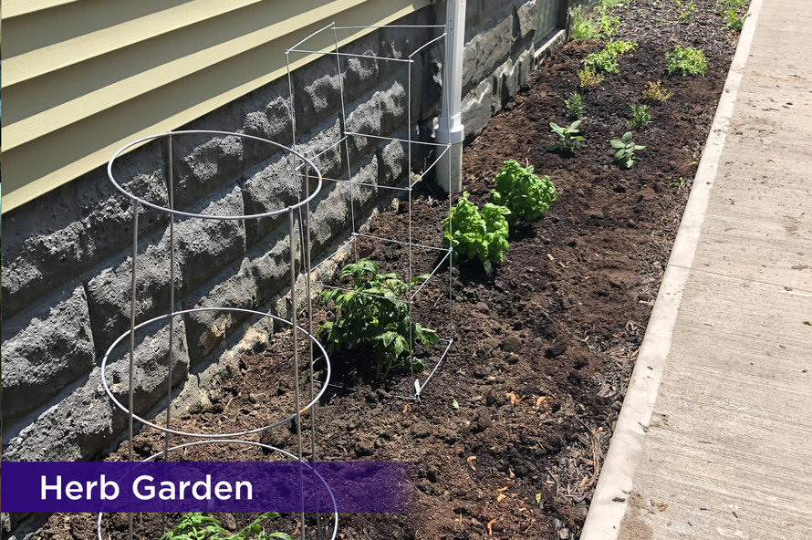 Herbgardenresized